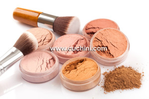 Essential Makeup Brush Powder