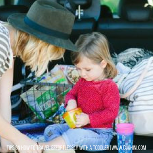 Tips on How to Travel Effortlessly with a Toddler
