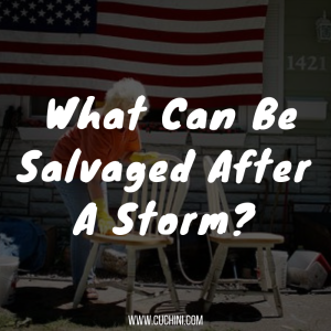 What Can Be Salvaged After A Storm